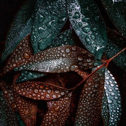  باید کوک رو بپاچیم دو صبه حاجی کلی کش میدم واسه یه خورده